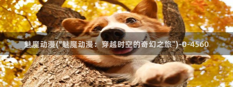 成人动漫