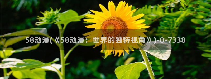 动漫在线