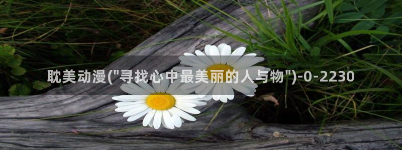 看动漫的网站